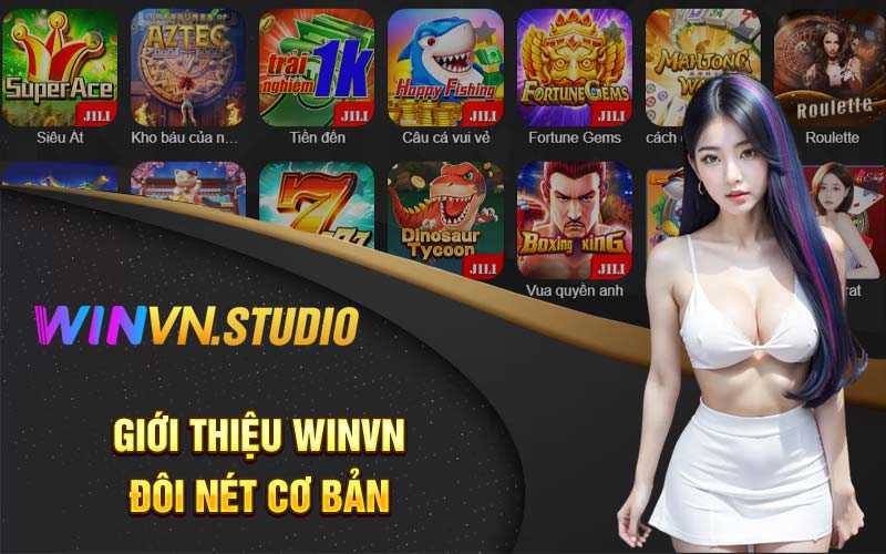 Giới thiệu Winvn đôi nét cơ bản 